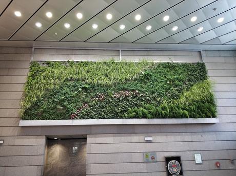 Jardines verticales en Torre Realia Madrid Jardines verticales en Torre Realia Madrid