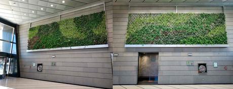 En crecimiento Jardines verticales en Torre Realia Madrid