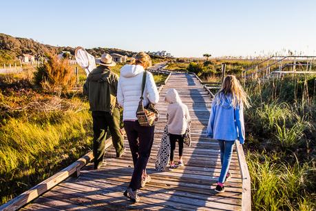 ▷ Comente 16 cosas divertidas para hacer en Myrtle Beach con niños (o sin ellas) para más de 25 cosas divertidas y emocionantes que hacer en Myrtle Beach, SC – Avventure myrtle-beach-state-park-15 ▷ Comente 16 cosas divertidas para hacer en Myrtle Beach con niños (o sin ellas) para más de 25 cosas divertidas y emocionantes que hacer en Myrtle Beach, SC - Avventure