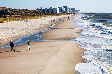 ▷ Comente 16 cosas divertidas para hacer en Myrtle Beach con niños (o sin ellas) para más de 25 cosas divertidas y emocionantes que hacer en Myrtle Beach, SC – Avventure myrte-beach-state-park-2 ▷ Comente 16 cosas divertidas para hacer en Myrtle Beach con niños (o sin ellas) para más de 25 cosas divertidas y emocionantes que hacer en Myrtle Beach, SC - Avventure