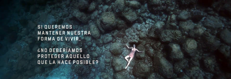 ¡Bailando para defender el Mediterráneo!. El anuncio mas bonito ¡Bailando para defender el Mediterráneo!. El anuncio mas bonito