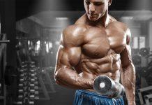 Dieta para aumentar masa muscular y perder grasa simultaneamente ¿Se puede construir músculo y Perder grasa al mismo tiempo?