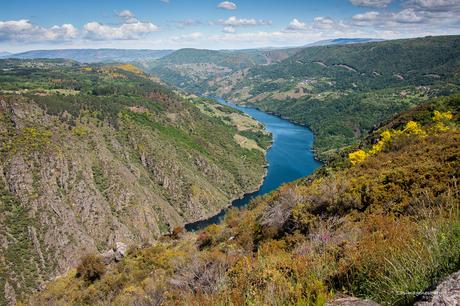 Ribeira Sacra. Ruta del Sil