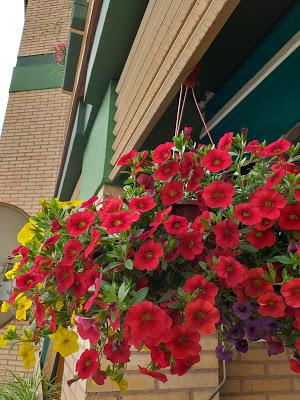 Se va acercando el verano...