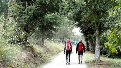 Los beneficios terapéuticos del Camino de Santiago, objeto de investigación científica