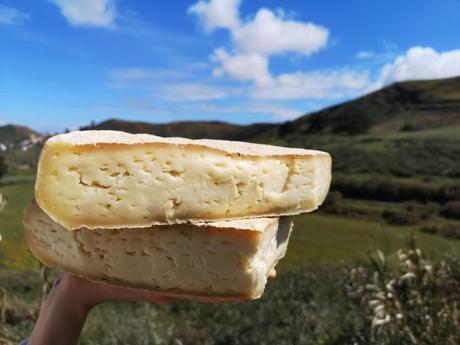 Mi experiencia en el I Foro Internacional del Queso Canario