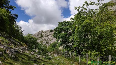 Bosque junto al río Redemuña