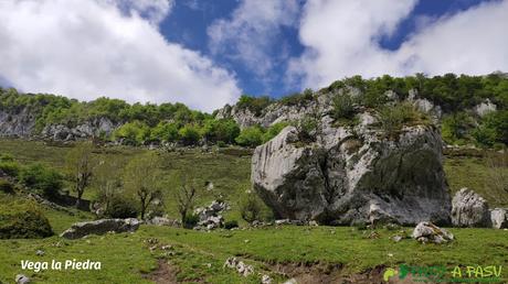 Vega la Piedra