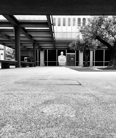 La imagen puede contener: exterior