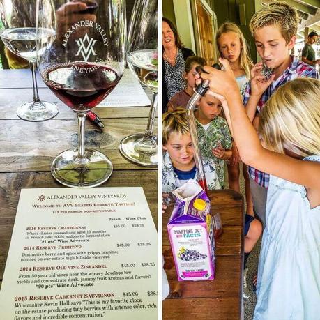 alexander-wines-1 ▷ Semana 27: Bodegas, cervecerías y tubing de río en Russian River, California