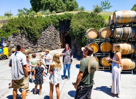 russian-river-california-2 ▷ Semana 27: Bodegas, cervecerías y tubing de río en Russian River, California