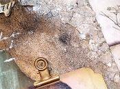 Taller sábado: media