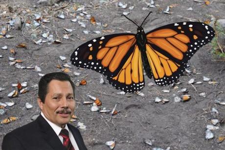 Gallardo intentó apoderarse de tierras de descanso de la Mariposa Monarca