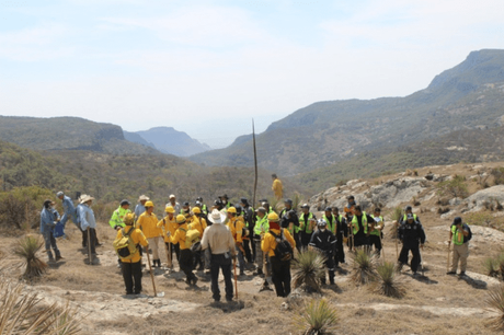 No les han pagado a los brigadistas de la Sierra de San Miguelito