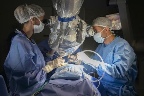 La otra cara del Hospital Garrahan: cómo funciona el microscopio HD alemán para hacer neurocirugías