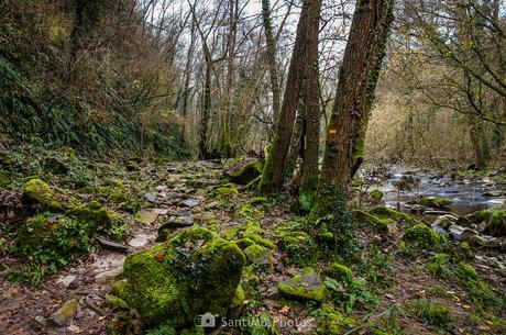 El camino de la riera