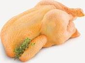 Tambores Pollo