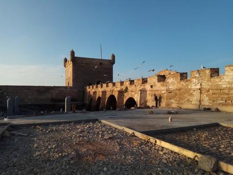 ▷ Excursiones desde Marrakech IMG_20180112_1170703-min-e1559779585161 ▷ Excursiones desde Marrakech