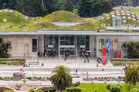 california_academy_of_sciences ▷ 12 mejores museos en San Francisco