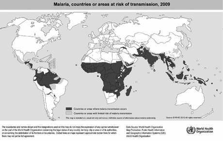 Monografías de Alumnos: CRISP-Cas9 y su aplicación en Mosquitos causantes de la Malaria