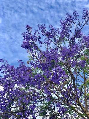 Consultas, extraños pactos políticos y nuevos ediles.