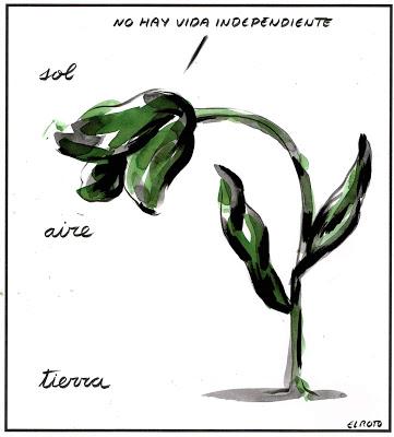 Consultas, extraños pactos políticos y nuevos ediles.