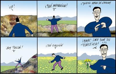 Consultas, extraños pactos políticos y nuevos ediles.