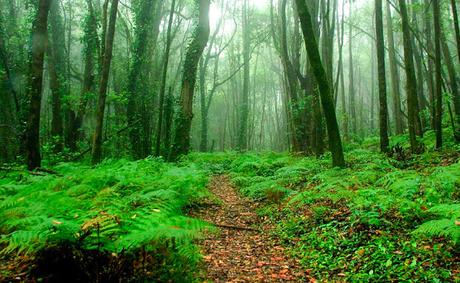 [ESPECIAL DOMINGO] Cambio climático y extinción del pensamiento