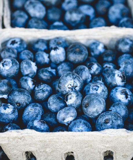 blueberries ▷ Los mejores destinos para viajar en agosto