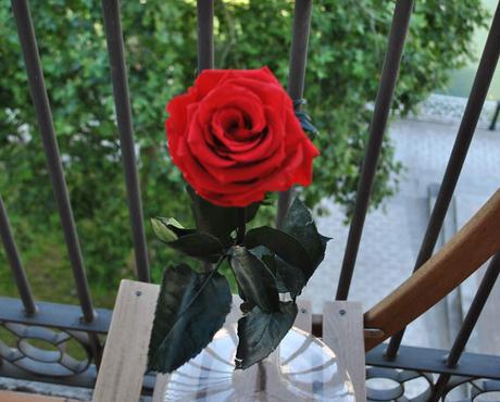 SAN MARCIALES Y MUCHOS MAS REGALOS