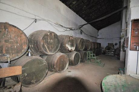 ATENEO DEL VINO DE EL PUERTO: Visita a la viña y bodega «La Blanquita»