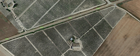 ATENEO DEL VINO DE EL PUERTO: Visita a la viña y bodega «La Blanquita»