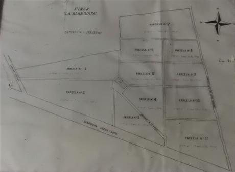 ATENEO DEL VINO DE EL PUERTO: Visita a la viña y bodega «La Blanquita»