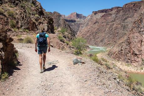 Along-the-Colorado-River.jpg.optimal ▷ Cómo caminar por el borde del gran cañón