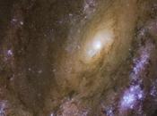 explosiones supernova galaxia 4051