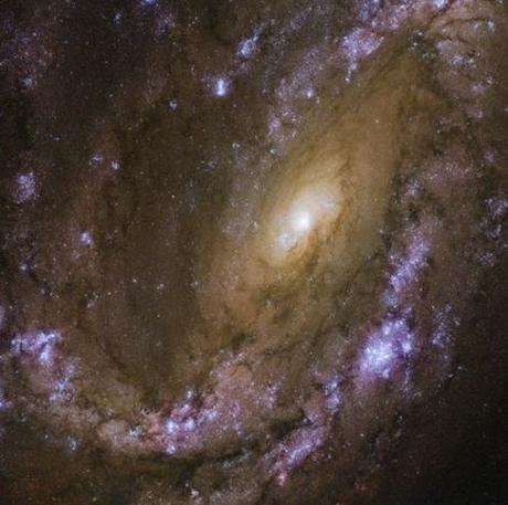 Las explosiones de supernova y la galaxia NGC 4051