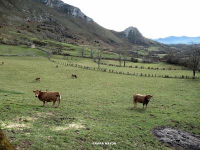 Gradura-Pena Gradura-El Puertu Marabio