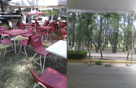 Eventos dañan y generan basura en el  Parque de Morales