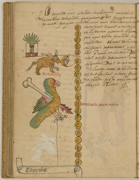 Las constelaciones y cuerpos celestes del firmamento azteca