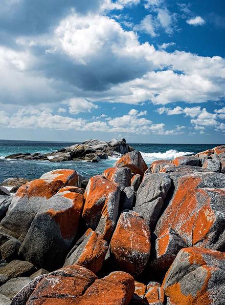 bay-of-fires-tasmania ▷ 10 consejos para tu primer viaje a Australia