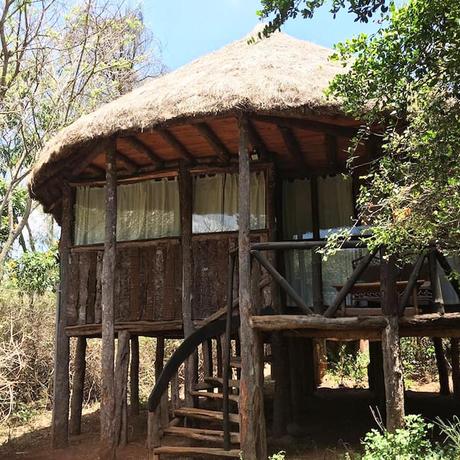 nairobi-treehouse-1 ▷ Las casas del árbol más frescas para quedarse en todo el mundo