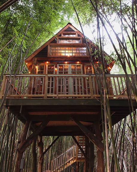 atlanta-alpaca-treehouse ▷ Las casas del árbol más frescas para quedarse en todo el mundo