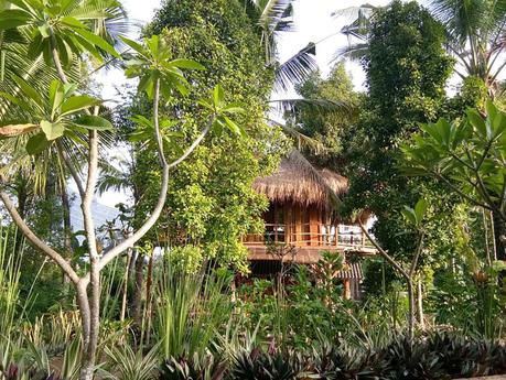 bali-treehouse-2 ▷ Las casas del árbol más frescas para quedarse en todo el mundo