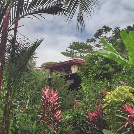 la-loma-lodge-panama ▷ Las casas del árbol más frescas para quedarse en todo el mundo