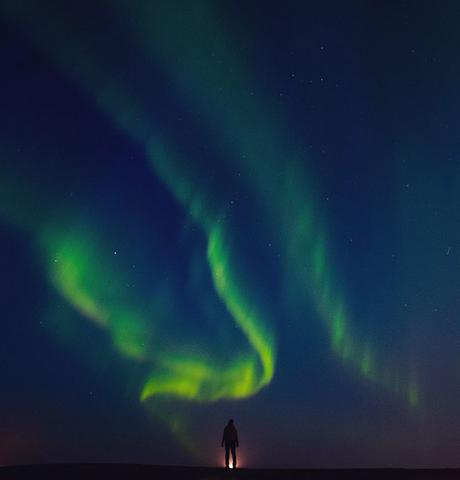 northern-lights-link ▷ Las casas del árbol más frescas para quedarse en todo el mundo