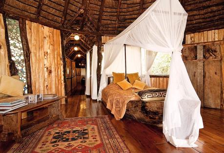 nairobi-treehouse ▷ Las casas del árbol más frescas para quedarse en todo el mundo