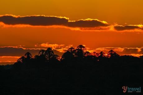 bunya-mountains-southern-queensland-country-297-540x360 ▷ Comentar sobre una escapada rápida es más fácil de lo que piensa: los océanos, mares, ríos y lagos hacen que la gente esté más calmada y más sana, los psicólogos y los especialistas en salud mental están de acuerdo