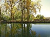 Reflejo somos
