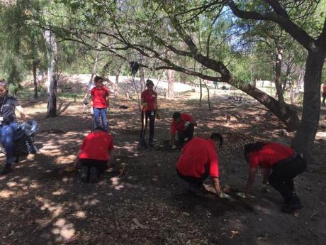 Ciudadanía planta nuevos árboles en el Parque Morales