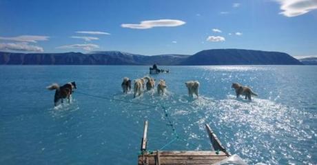 Se hace viral una fotografía que alerta sobre la situación del deshielo en Groenlandia Se hace viral una fotografía que alerta sobre la situación del deshielo en Groenlandia